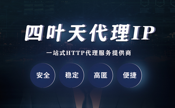 【仙桃代理IP】代理ip客户端使用教程